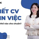 Cv xin việc